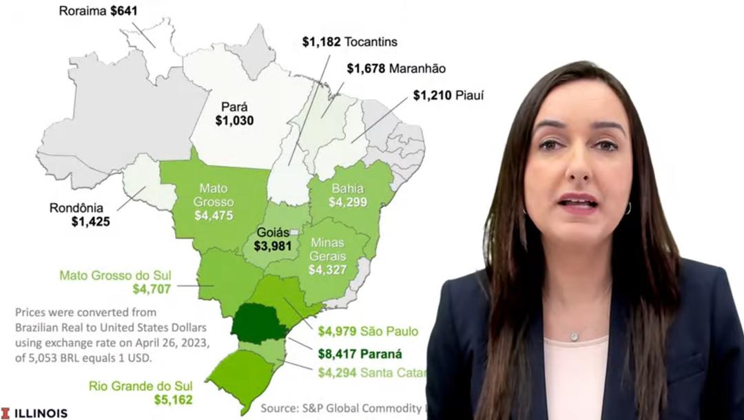 Cover Image for Brazilian Farmland Boom